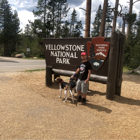 Meet your Posher, Pete - Picture 13 of 13